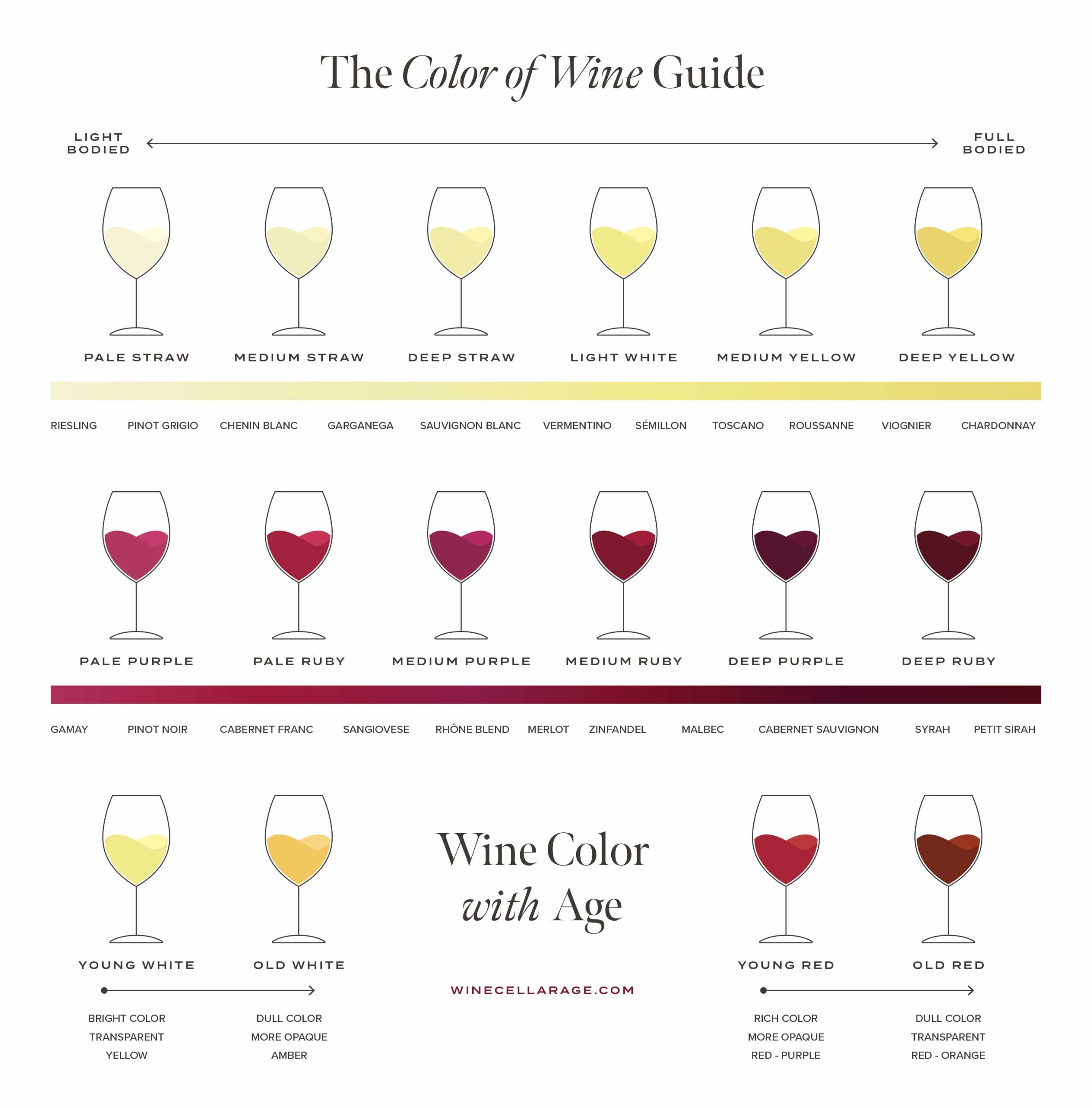 The Color of Wine